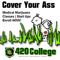 Cannabis business permits